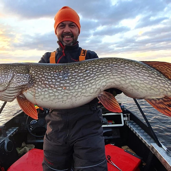 Организация рыбалки