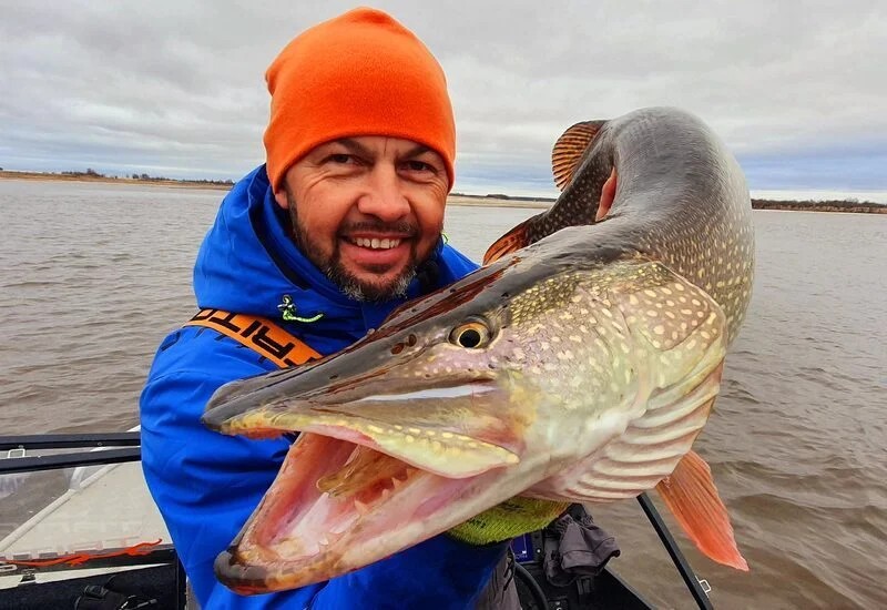 Дмитрий Новиков